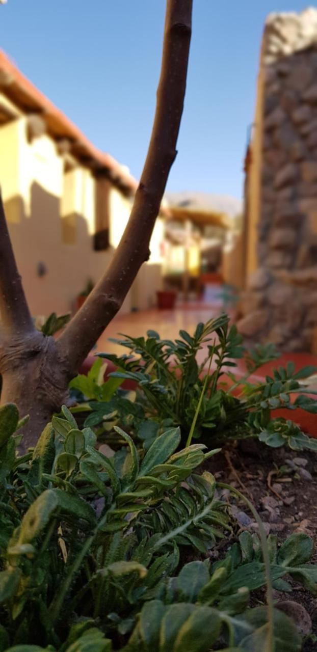 Hostal Asqui Pacha Tilcara Extérieur photo
